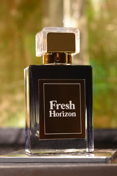 Fresh Horizon 100ML - Perfume By Scents and Tales